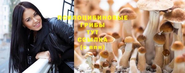 герыч Зеленокумск