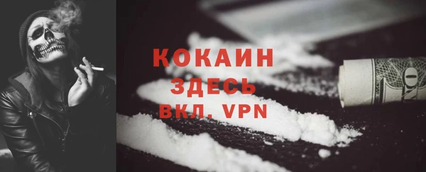 сатива Снежногорск