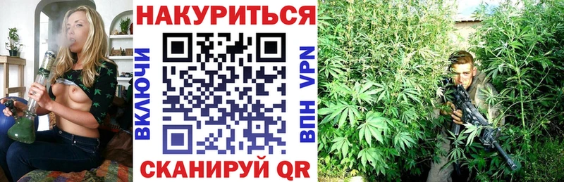 Каннабис семена  Углич 